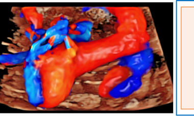 Course Image.png 9