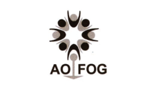 AOFOG 380X228.png