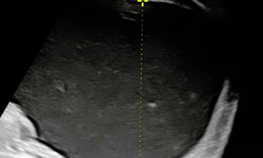 Course image.png 4