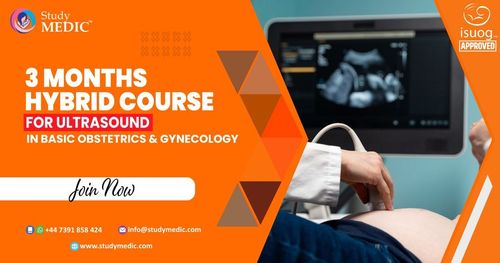 Ultrasound Course in Obstetrics and Gynecology - 3 Months Course