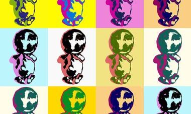 ultrasound image of a normal 28-mm crown–rump length embryo depicted pop-art style.