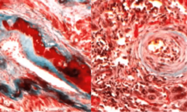 Picture1.png 12