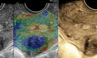 Emergencey gynecology course picture.jpg