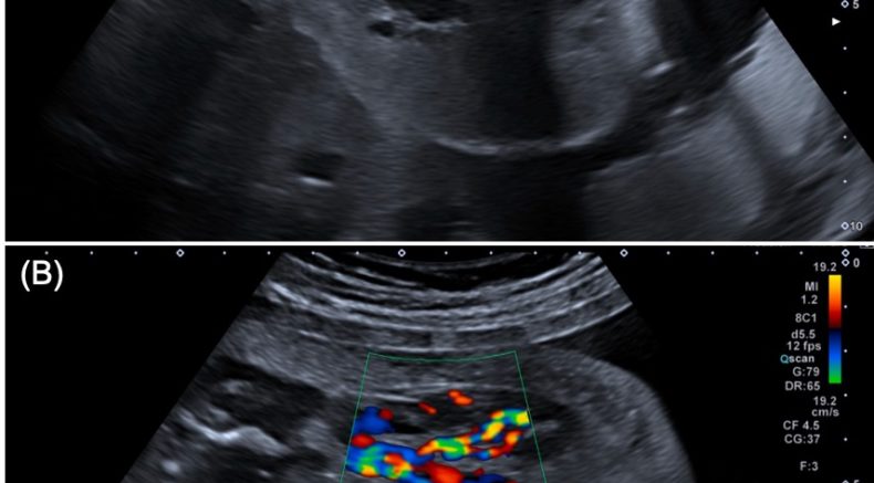 Figure1.jpg 3