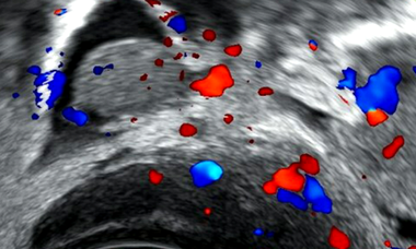 Virtual Issue cover image.png 1