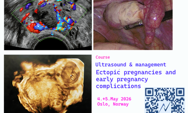 flyer kurs invite 2026_engl.png