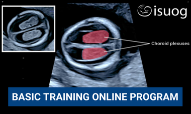 Basic Training Online Program