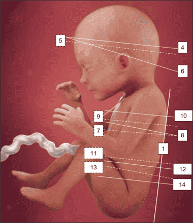 New ‘How To’ article on applying the 20 + 2-planes method for ...