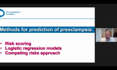 risk assessment for pre-eclampisa kypros.png