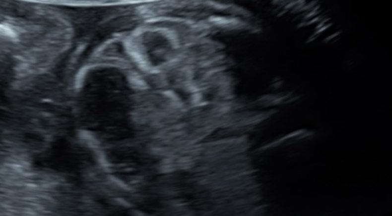 cover photo 2.jpg