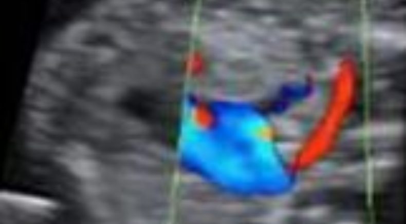 ARSA main pic.JPG