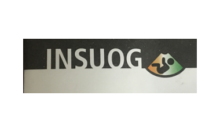 INSUOG 380x228.png 1