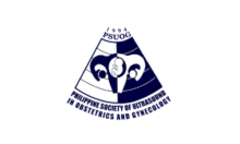 PSUOG logo 380x228.png