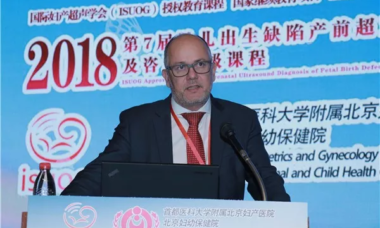 Aris Papageorghiou speaking.png